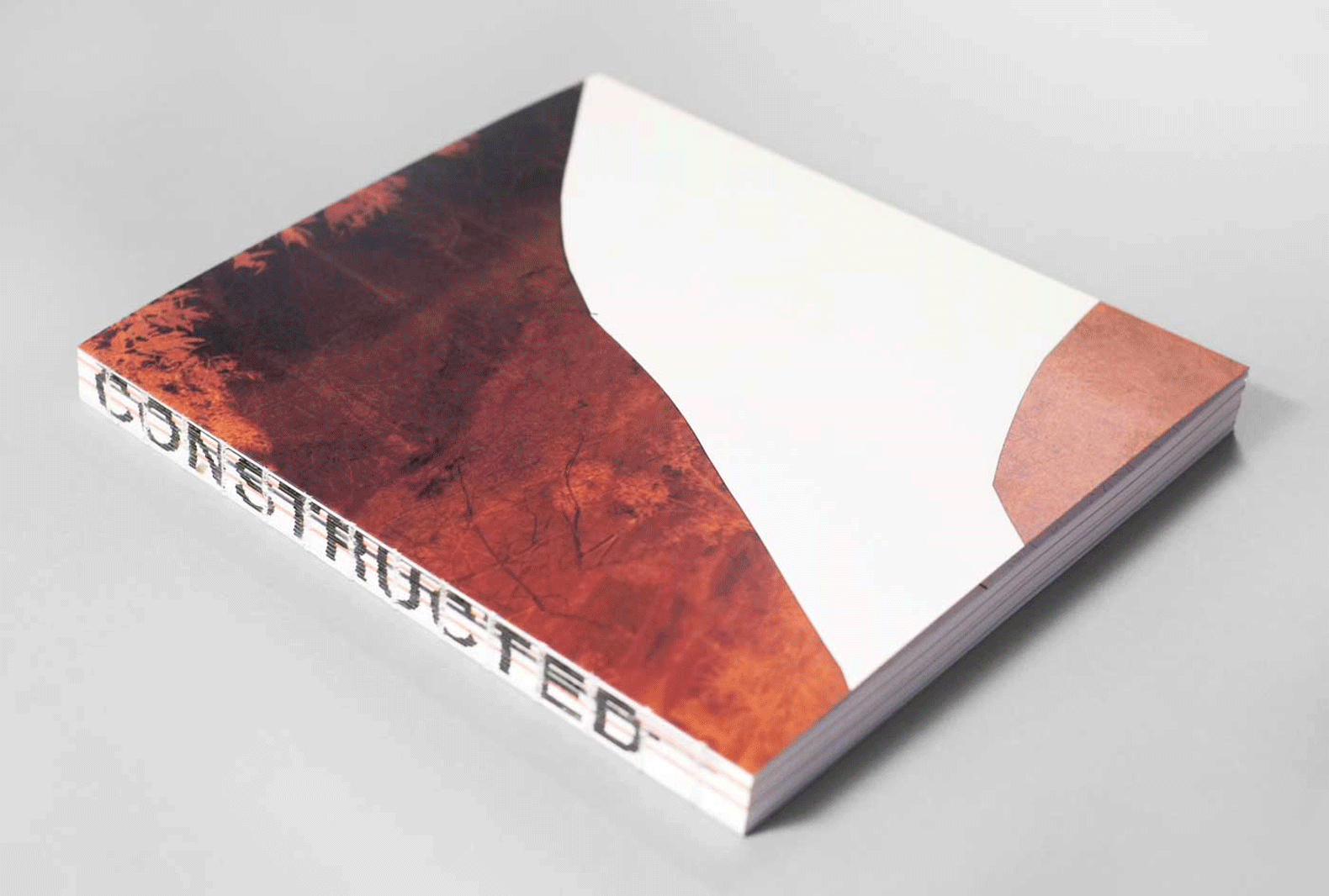 Constructed Landscapes, by Dafna Talmor, part of our pick of the best art books