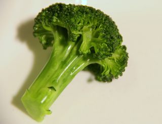 A broccoli floret.