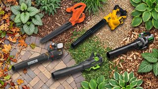 A selection of leaf blowers.