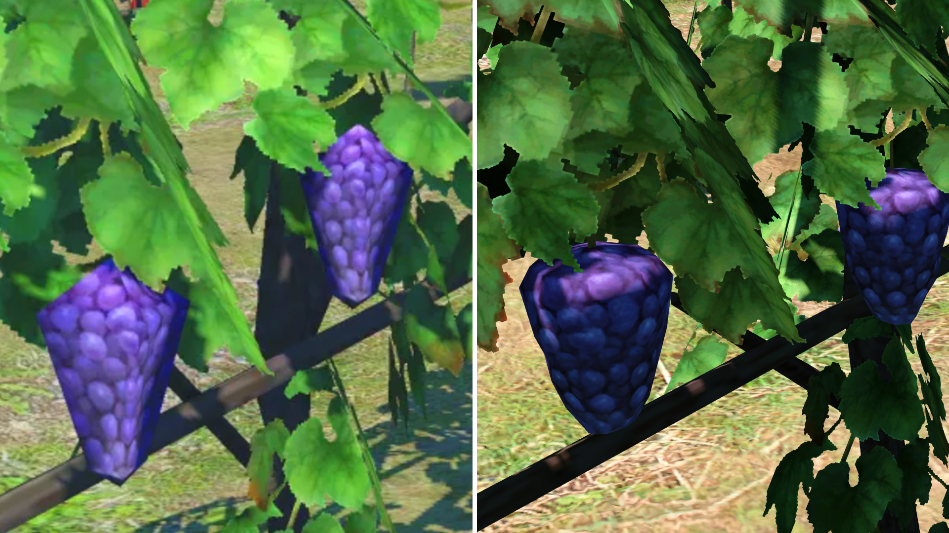 A before and after of Endwalker's grapes.