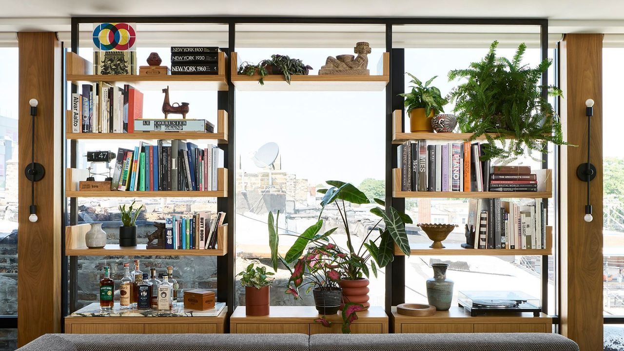 A living room shelf dotted with a collection of books and potted houseplants