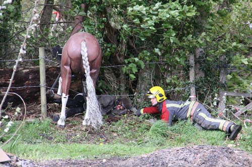 mannequin-rescue.jpg