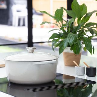 close up of a white casserole dish on an induction hob beside a potted houseplant