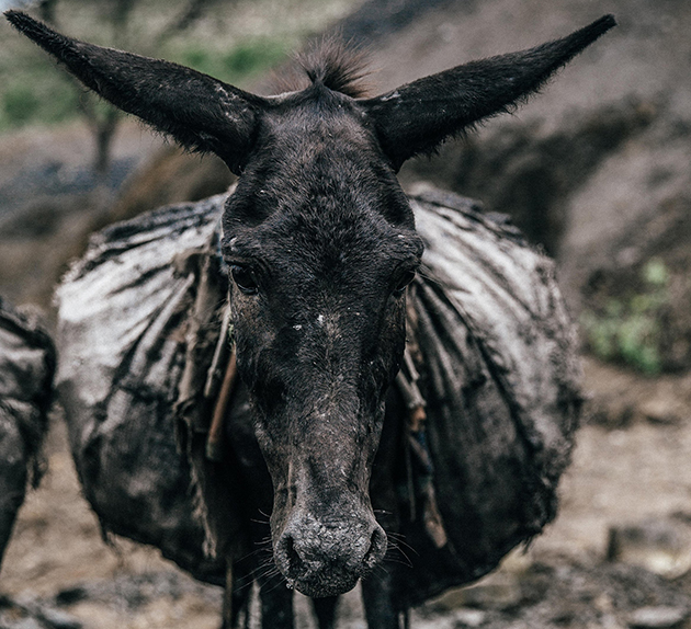 &amp;copy;Freya Dowson/The Brooke