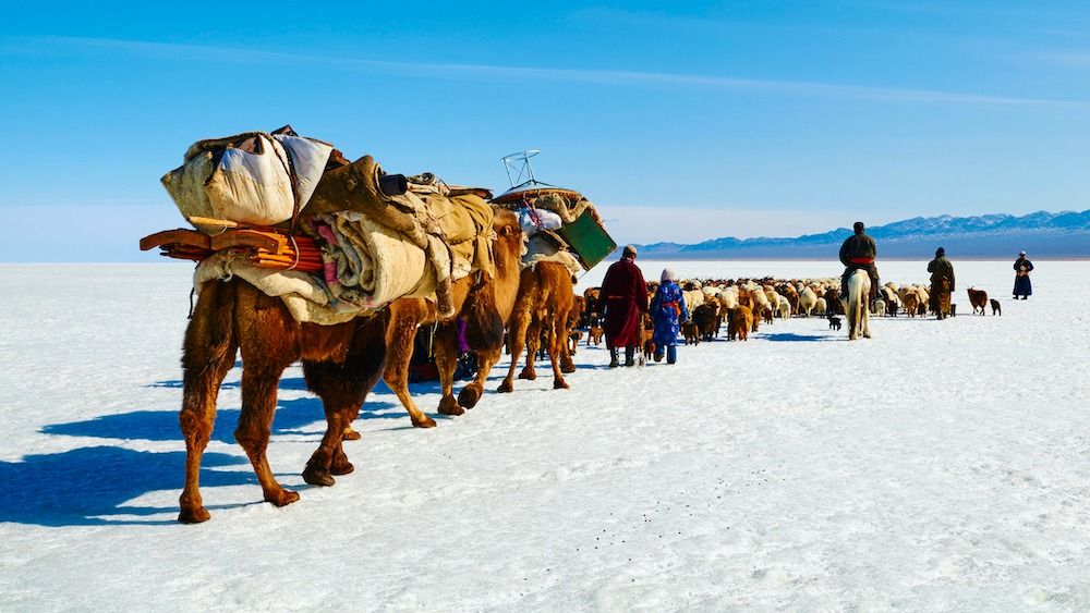 Nomads travel the desert using camels