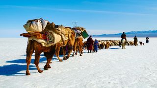 Nomads travel the desert using camels