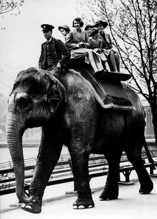 Queen Elizabeth riding on an elephant