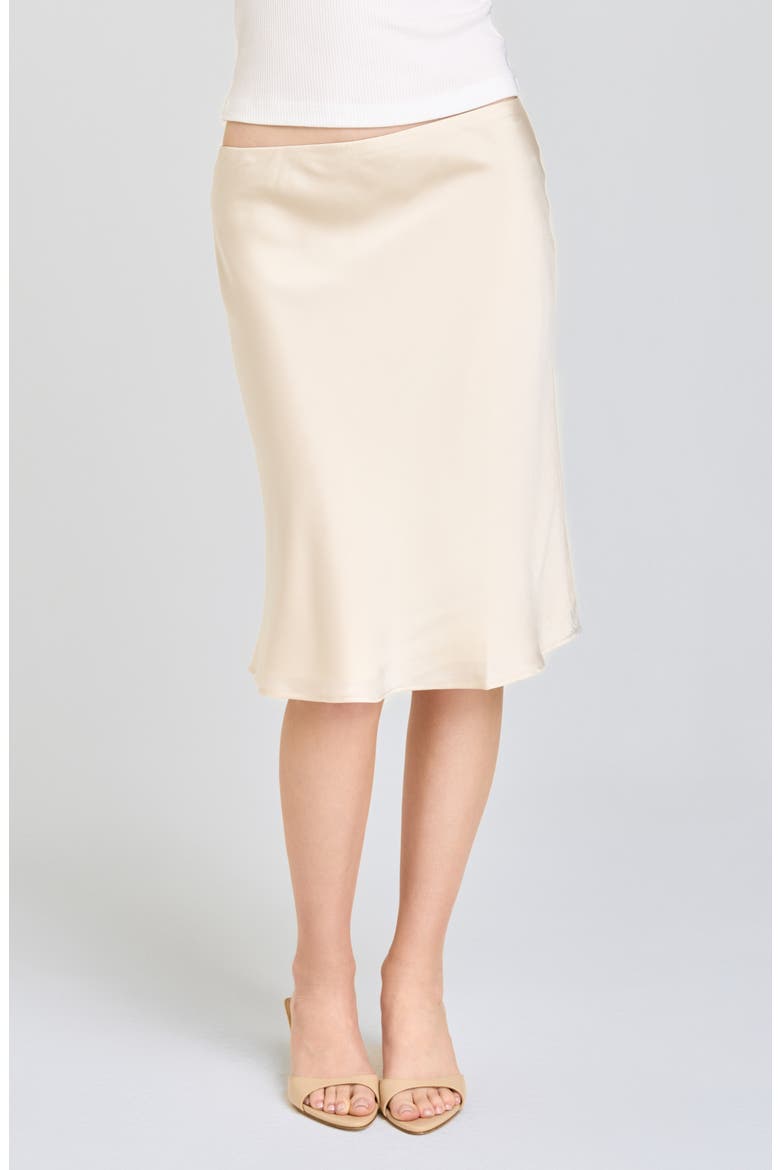 Felicity Satin Slip Skirt