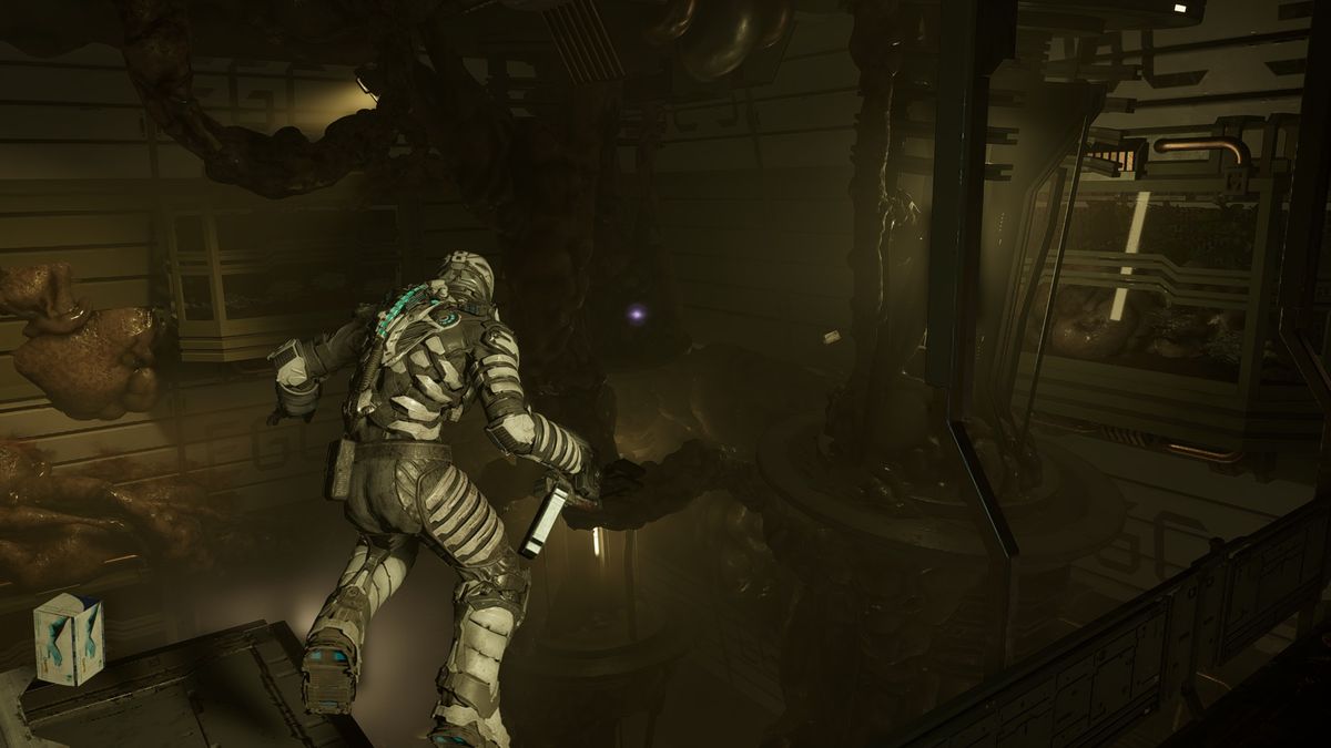 Dead Space Marker Fragment glinting in Hydroponics