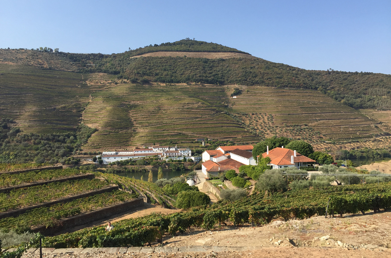 Port 2018 Vintage Report