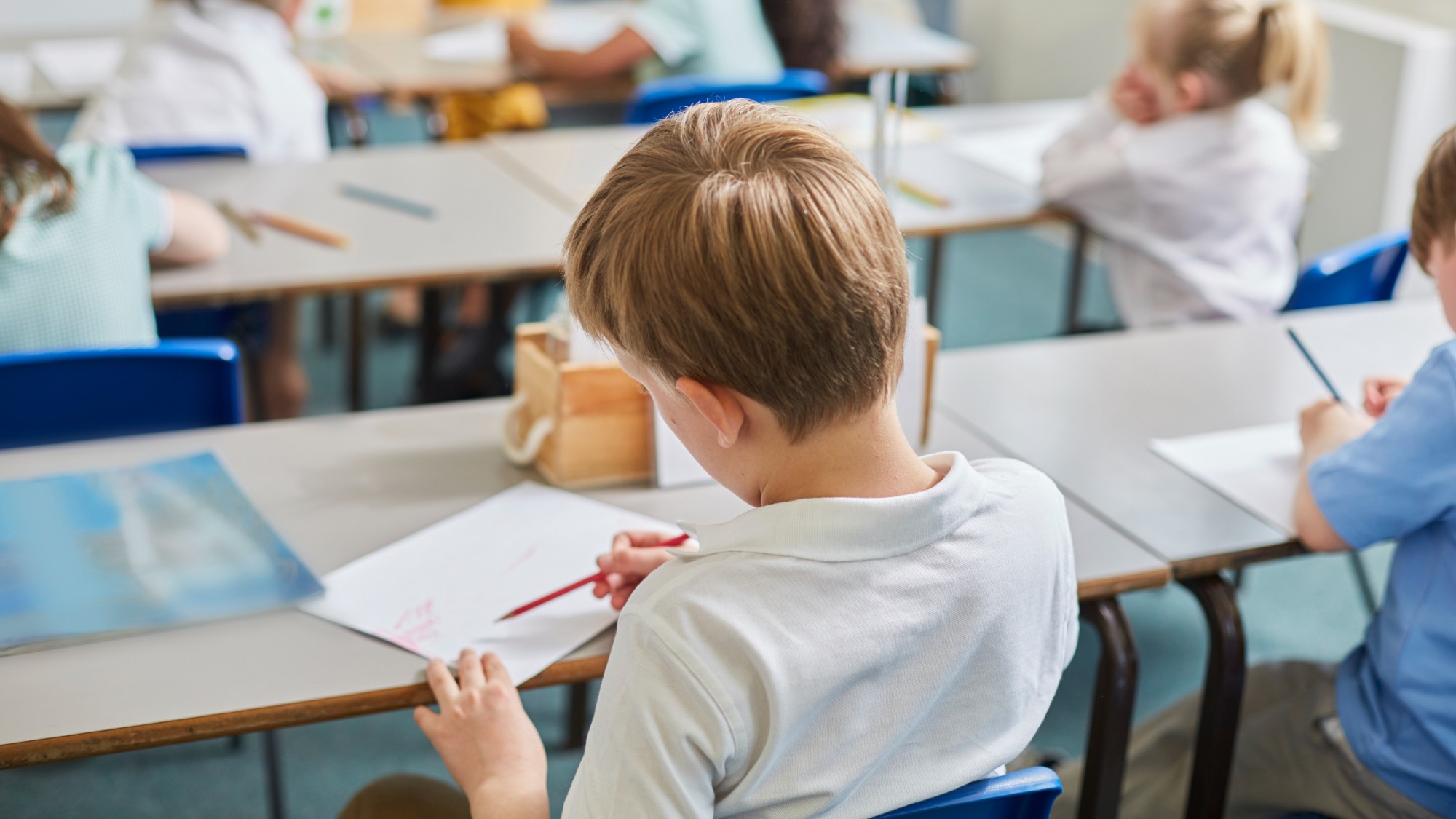 Primary schoolboy and girls doing schoolwork at classroom desks, rear view