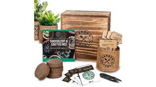 best cactus growing kit