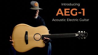 LR Baggs AEG-1 guitar