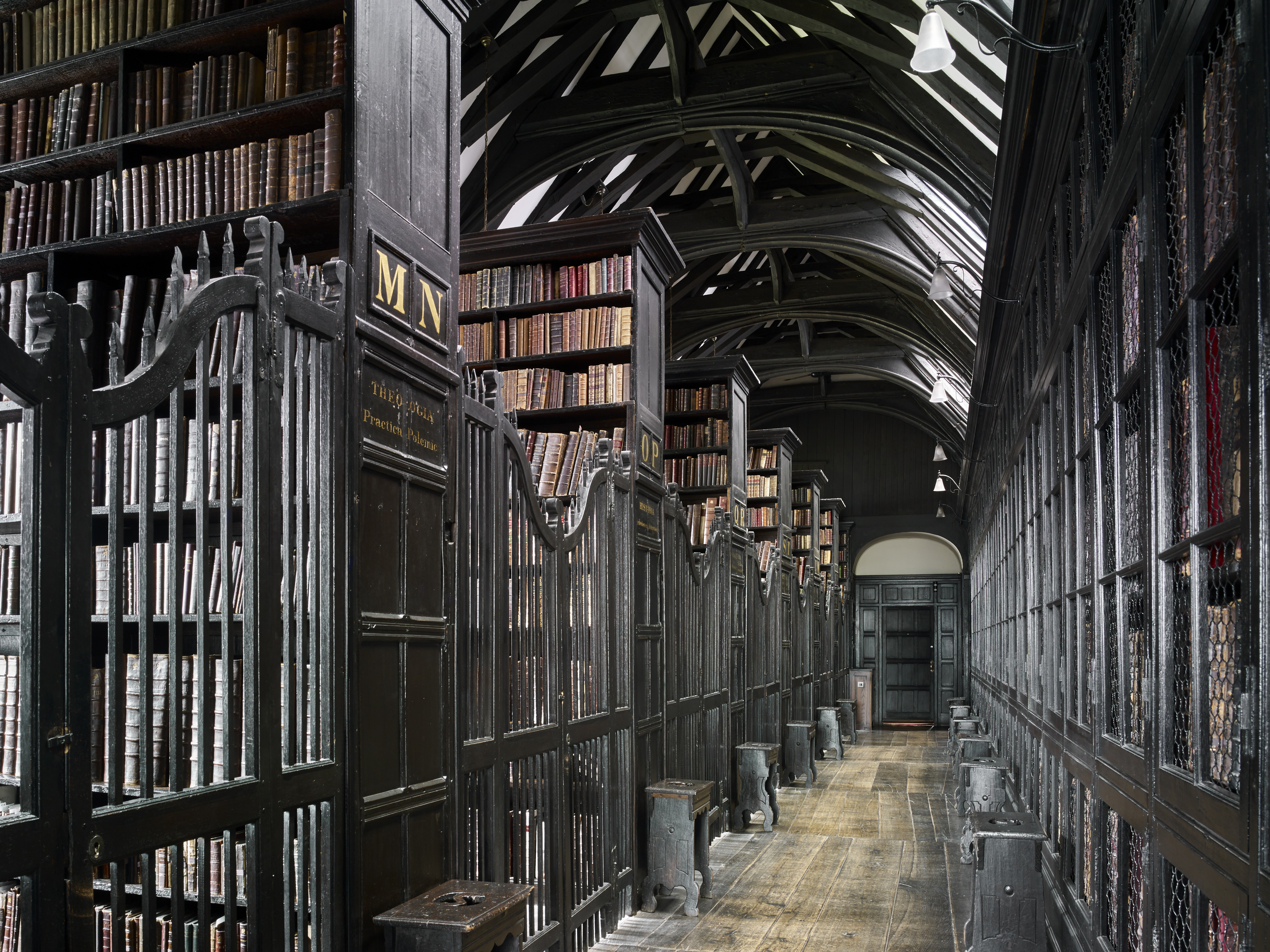 Dark wood library with stacks of shelves and iron gates