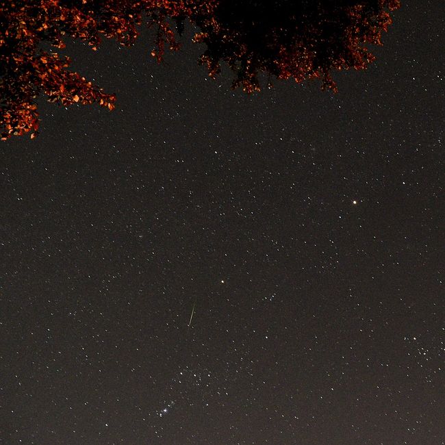 The 2022 Orionid meteor shower put on a show around the world (photos
