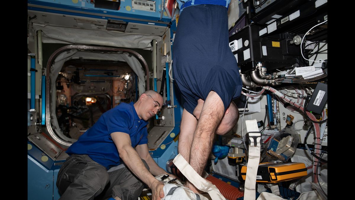 expedition 63 launch