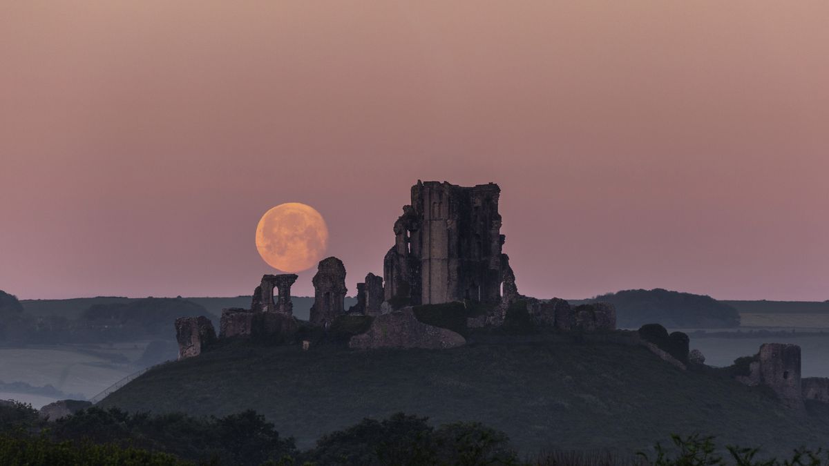 Full moon calendar 2024 When to see the next full moon Space