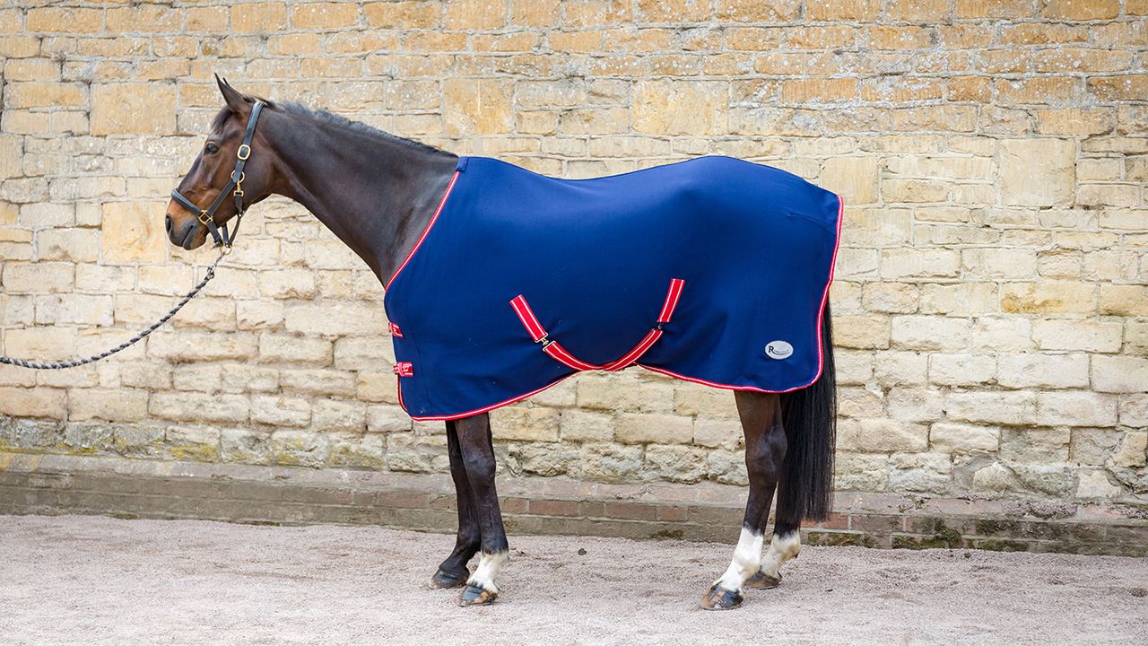 Rhinegold Smart Tec rug review