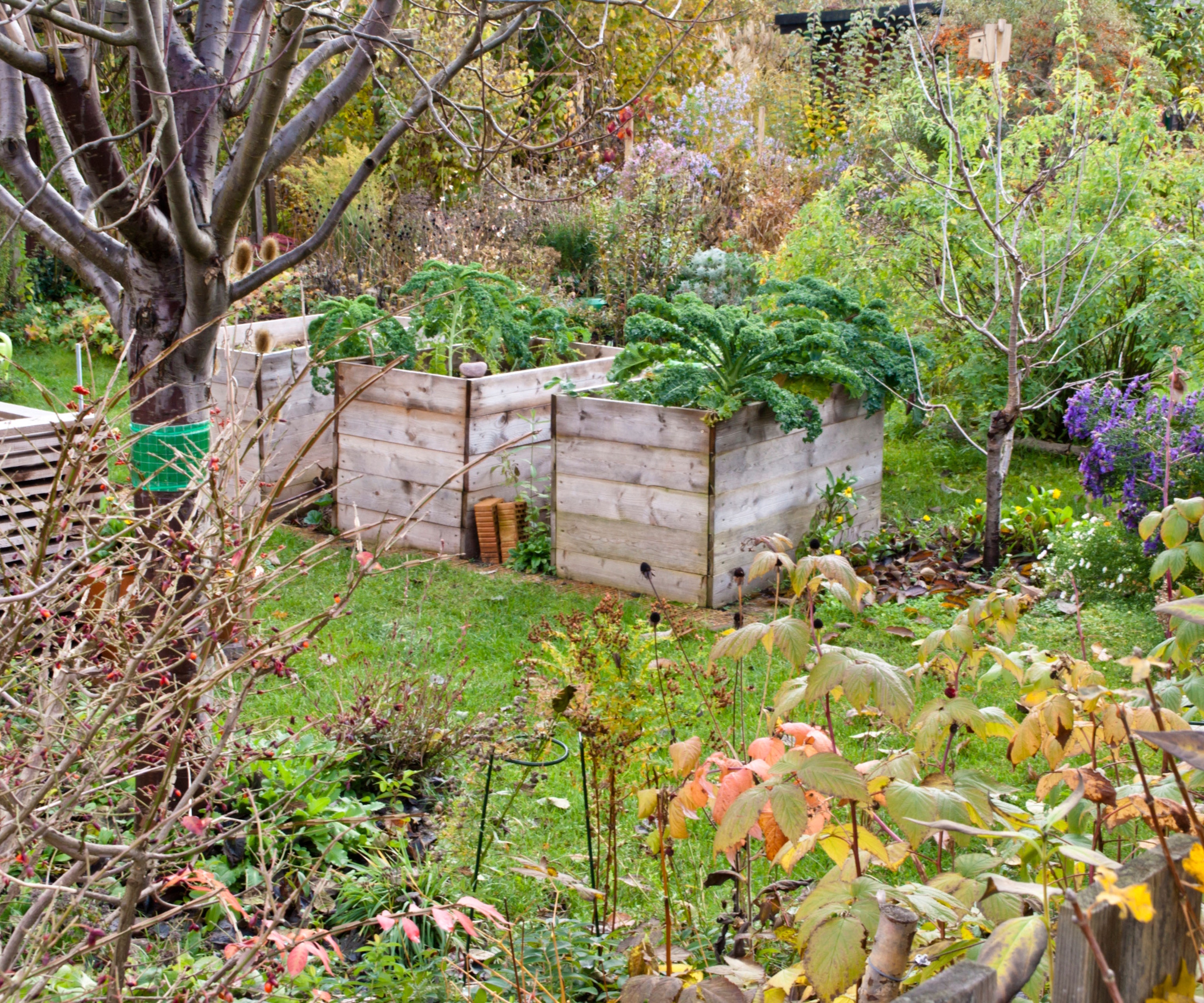 Fall raised garden beds