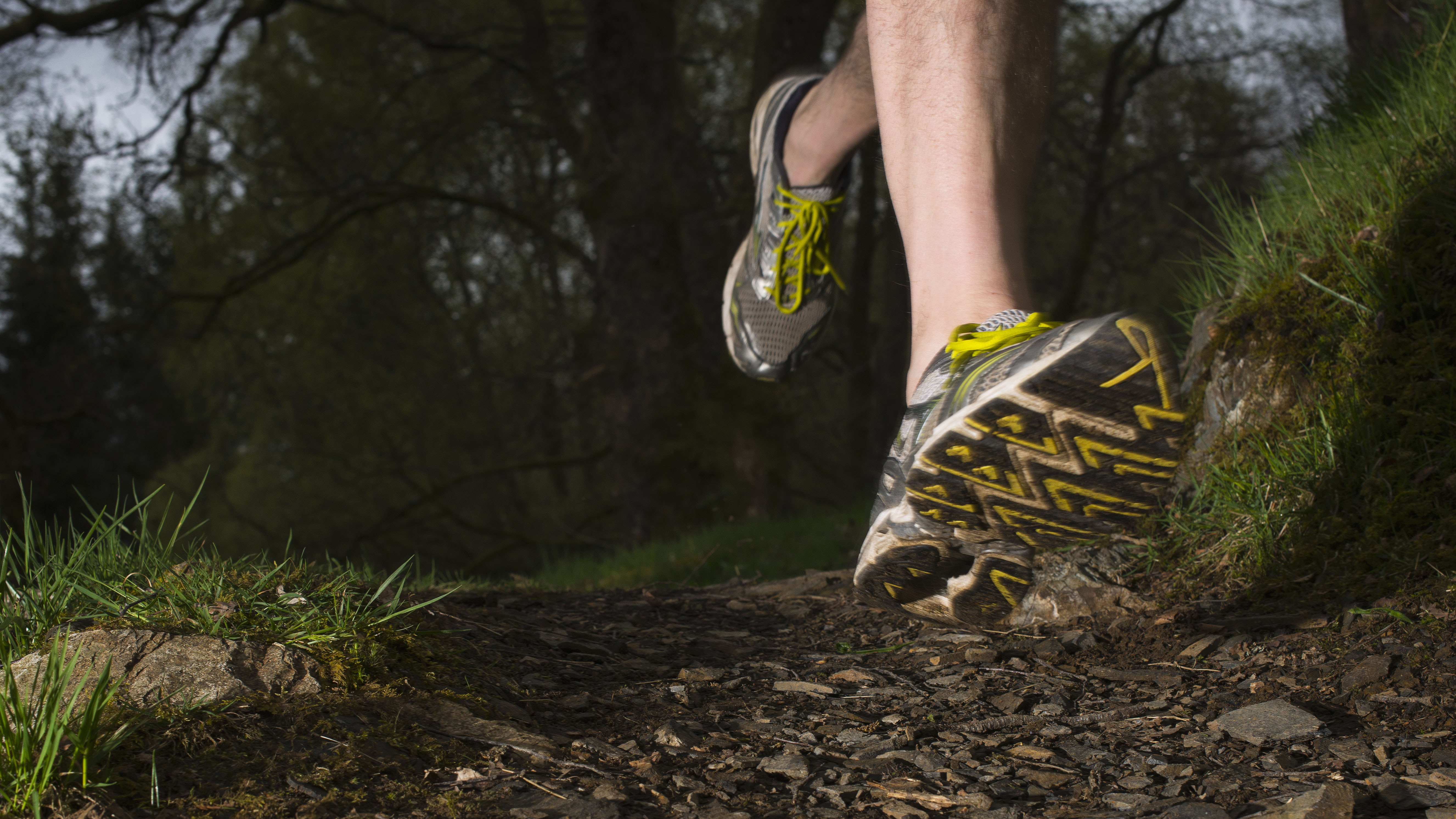 Close up on man's running shoes; background shows forest trail