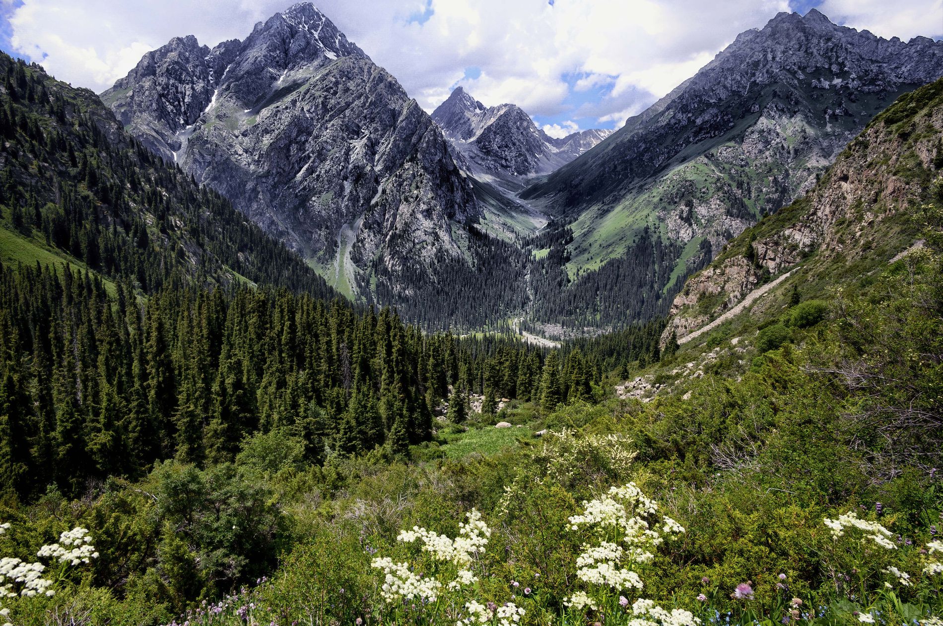 GuruShots - Travel Stories July 2025
