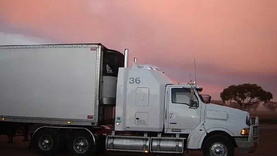 Os estoques de logística caem depois que pequenas empresas de IA reivindicam grandes ganhos de eficiência de frete