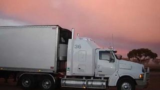 roadrunner transport service