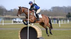 Luhmuhlen entries 2019