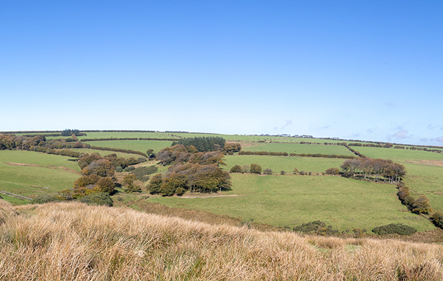 Emmetts Farm Somerset-11