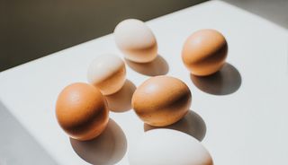 A number of various sized eggs on a white surface casting shadows.