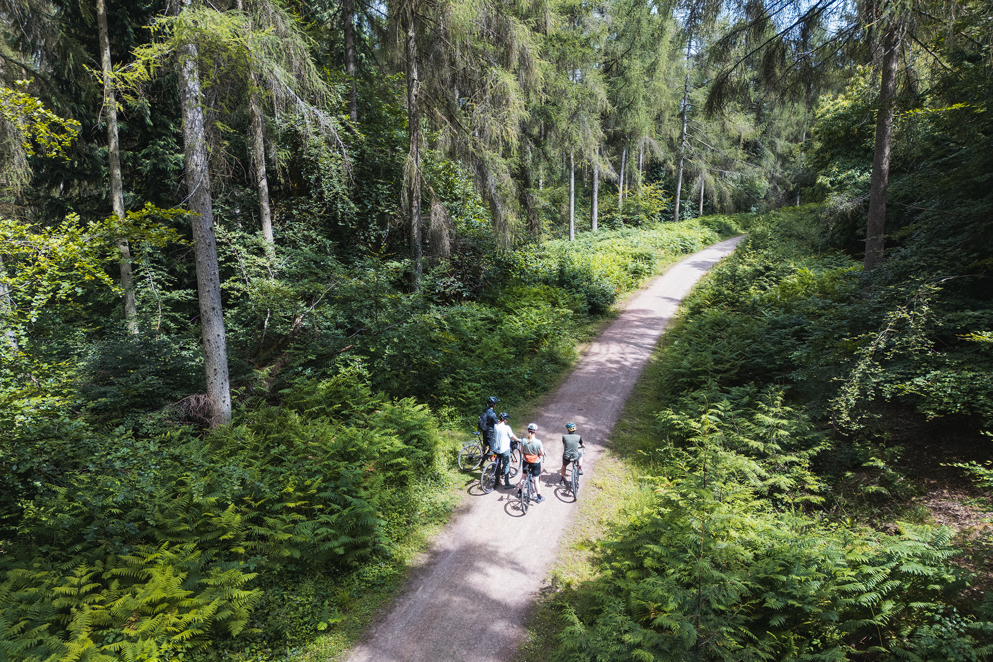 Overhead shot of four cyclists resting beneath the forest canopy on a wide, smooth gravel track