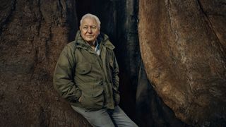 Sir David Attenborough profiles the world of plants in 'The Green Planet'.