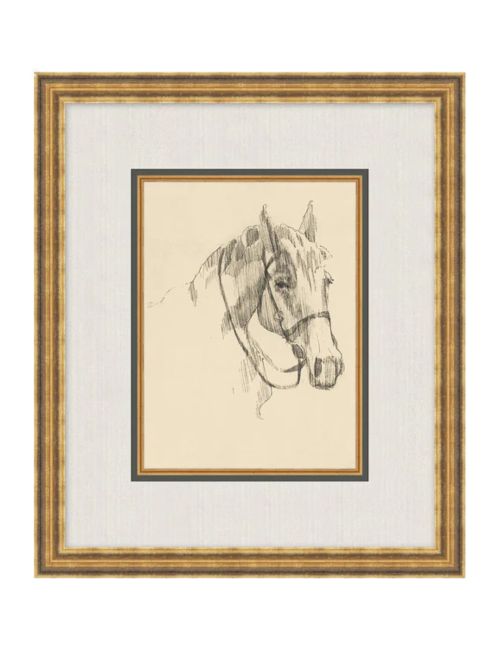 Equine Lines 3