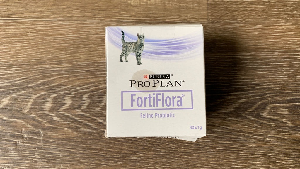 i-tried-some-probiotics-for-cats-here-s-what-happened-petsradar