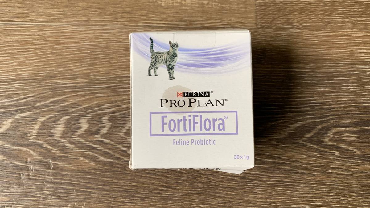 I tried some probiotics for cats – here’s what happened | PetsRadar