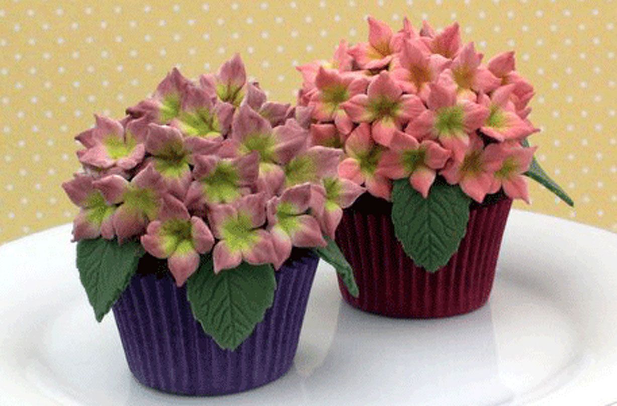 Hydrangea cupcakes