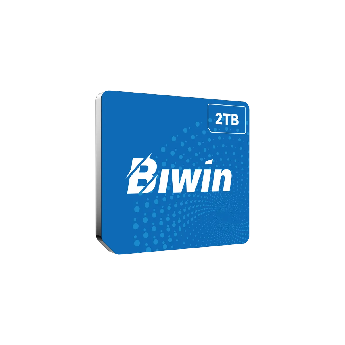 Biwin CL100