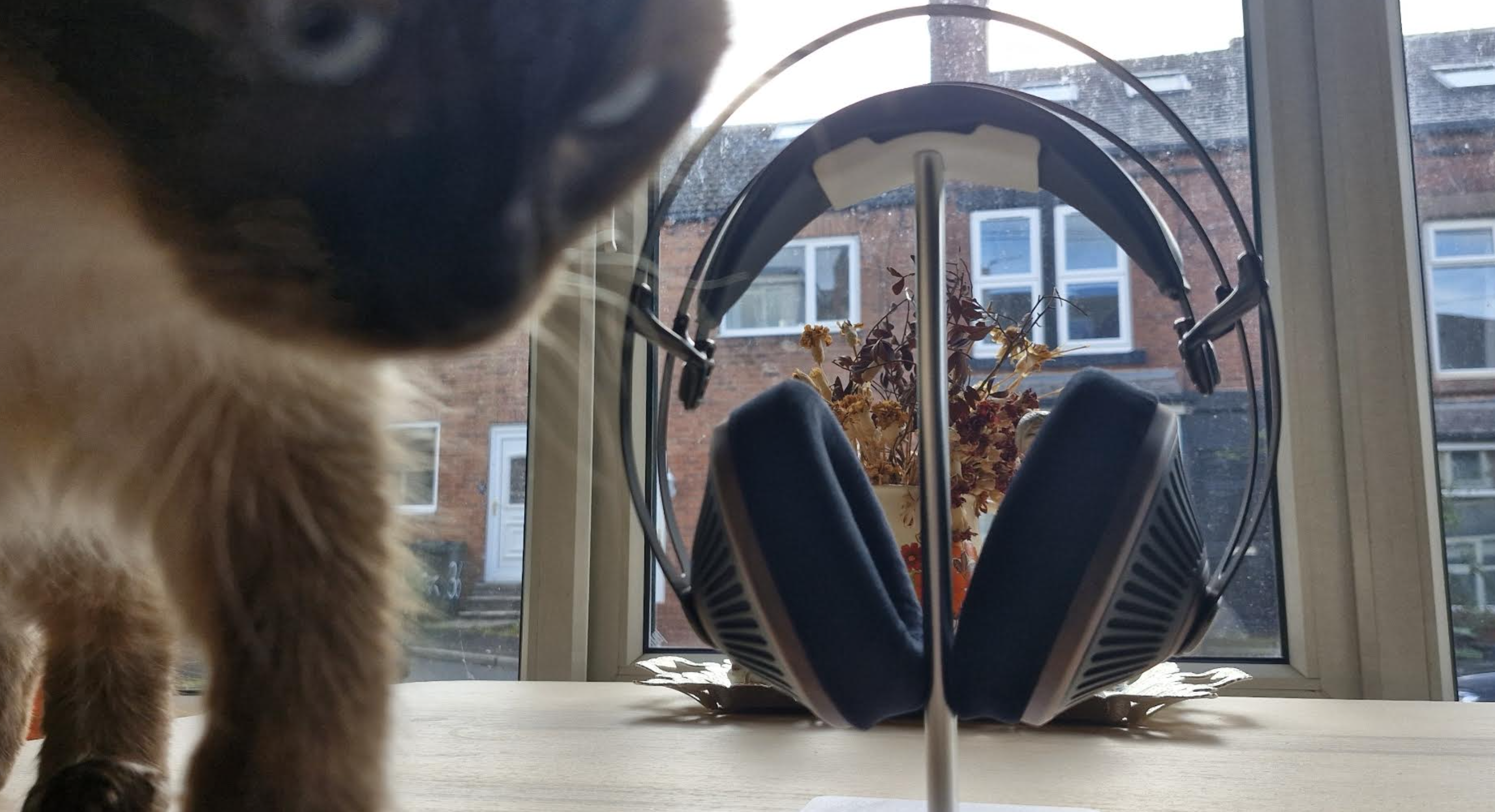 Meze Audio 105 Silva headphones on a light wooden table 