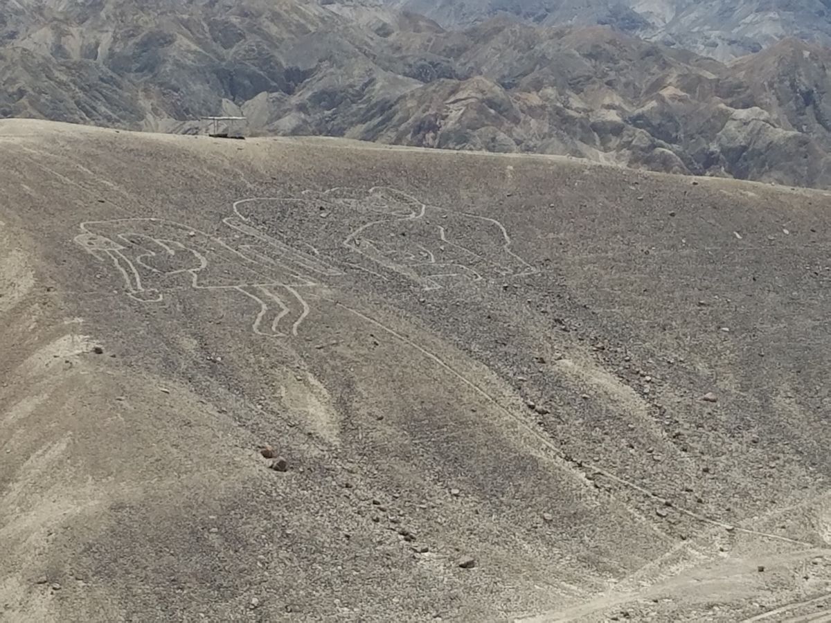 New Nazca Lines