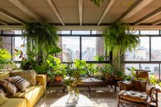 A living room filled with indoor plants