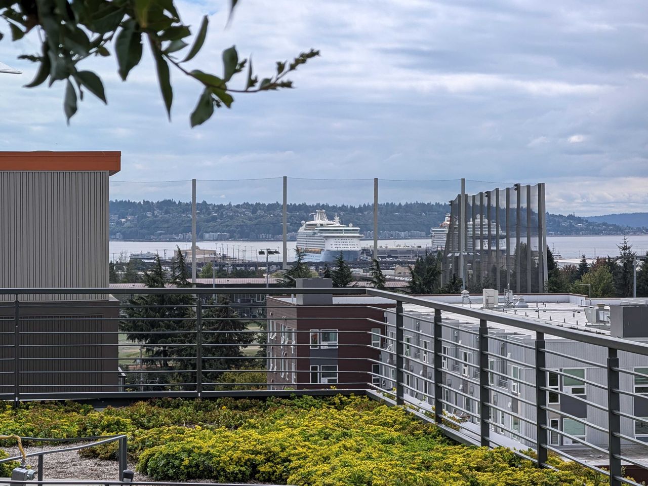 (5x) A cruise ship in the distance