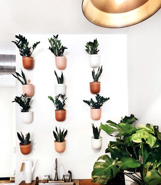 vertical garden indoors with houseplants in pockets on a white wall
