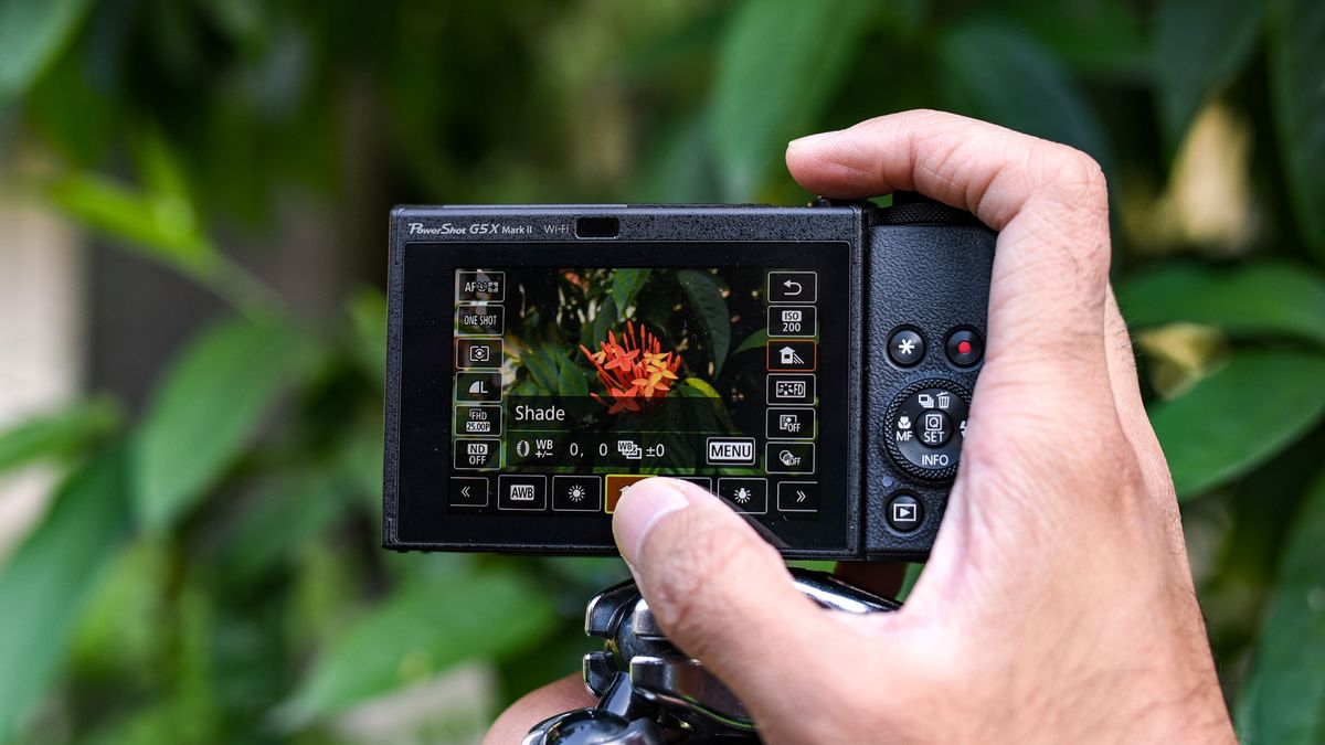 تقدم Canon India جلسات تصوير مجانية عبر الإنترنت 385