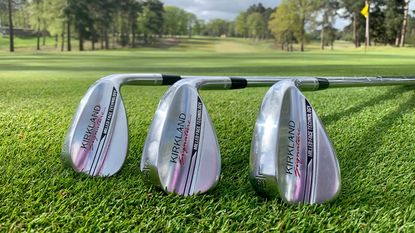 Kirkland Signature 3-Piece Wedge Set Review