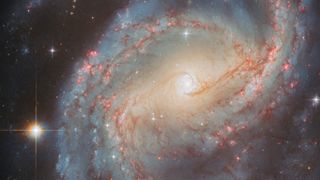 A spiral galaxy with large, open arms. A bar of yellow light, where old stars are gathered, crosses the middle of the disk. The very centre is a white point surrounded by a small, shining ring of star clusters. Thin lanes of dust swirl around this ring, reaching out to follow the spiral arms; also visible across the arms are red, glowing spots where stars are forming. To the right a star shines large and bright.