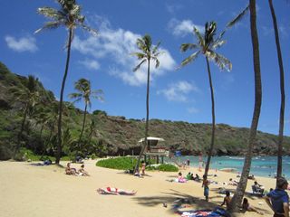 Formed within a volcanic cone, Hanauma Bay was named a protected marine life conservation area and underwater park in 1967. Today it’s a snorkeler’s paradise.