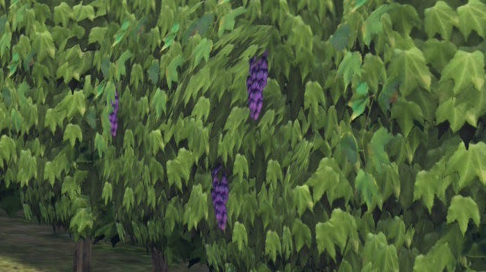 Pokemon Legends ZA polygonal grapes