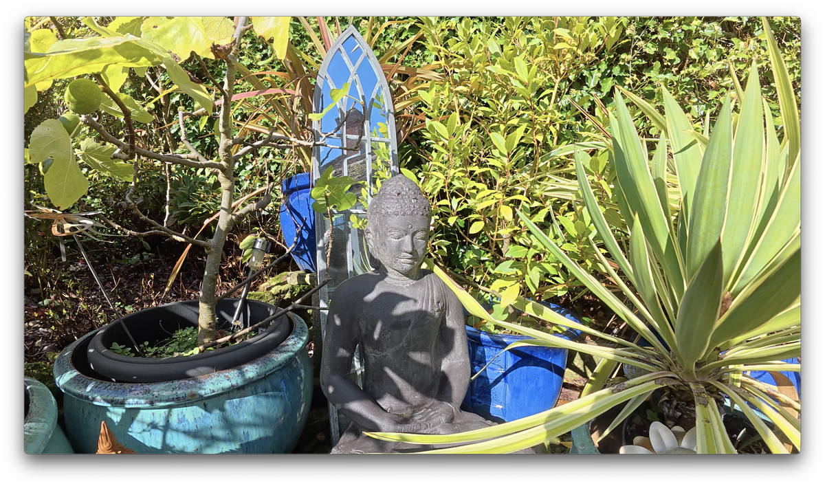 A photo of a Buddha statue among plants