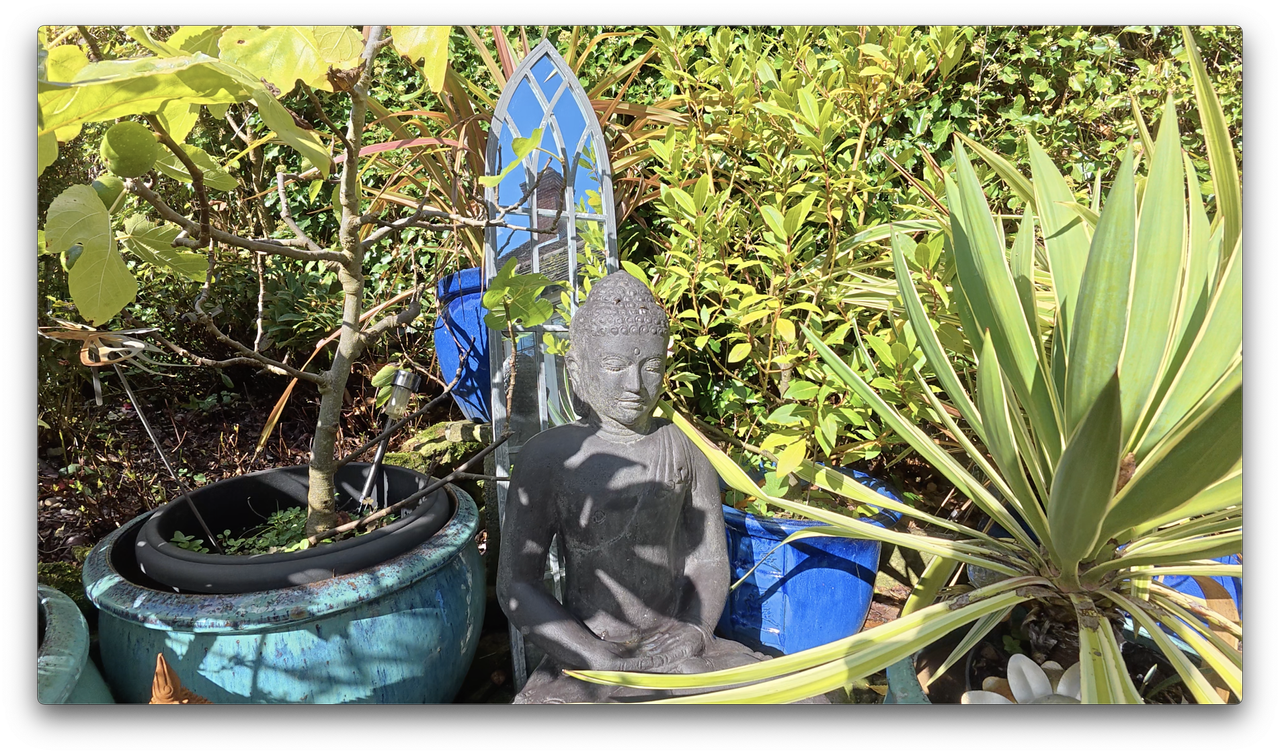 A photo of a Buddha statue among plants