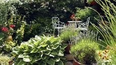A small garden with a variety of plants and a small white bistro table